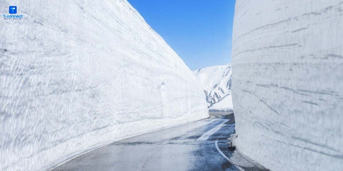 Cung đường tuyết trắng tại núi Tateyama.