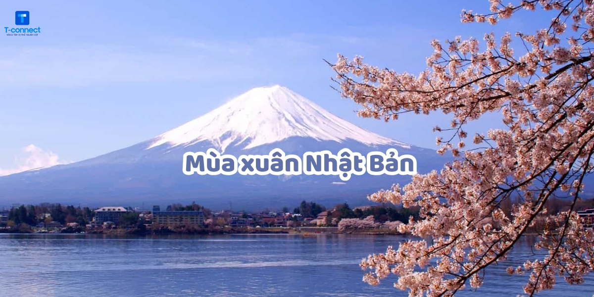 Khám phá mùa xuân Nhật Bản.