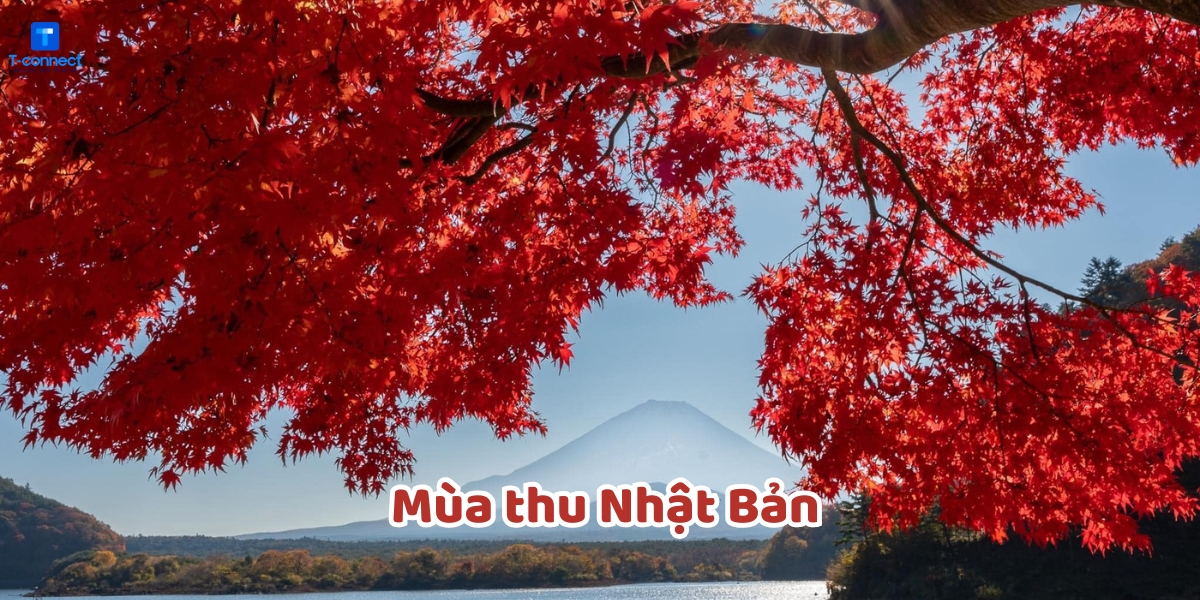 Tổng quan mùa thu Nhật Bản.