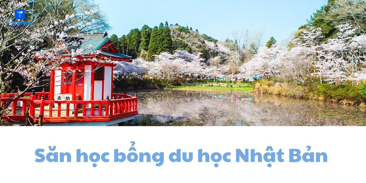 Cách săn học bổng du học Nhật Bản hiệu quả