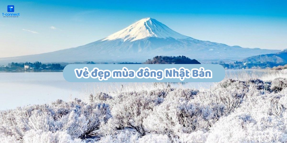 Vẻ đẹp mùa đông Nhật Bản.