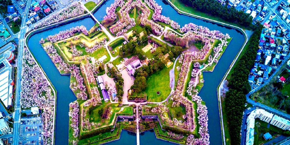 View ngắm hoa anh đào triệu đô tại núi Hakodate.