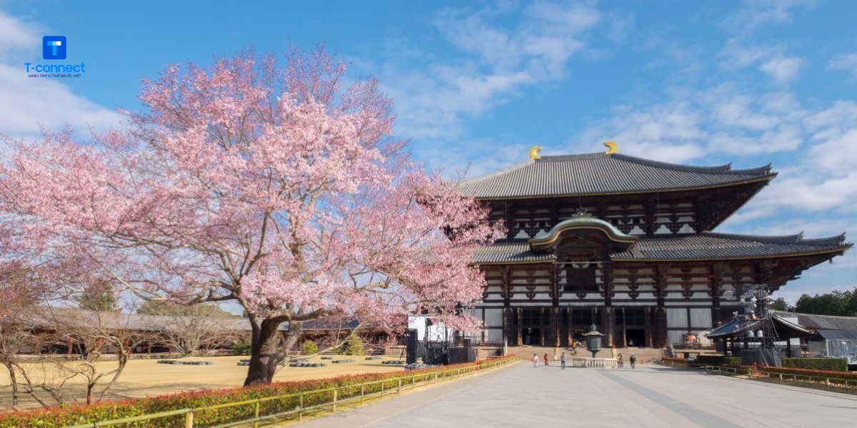 Chùa Todai-ji là một địa điểm không thể bỏ qua khi đến Nara