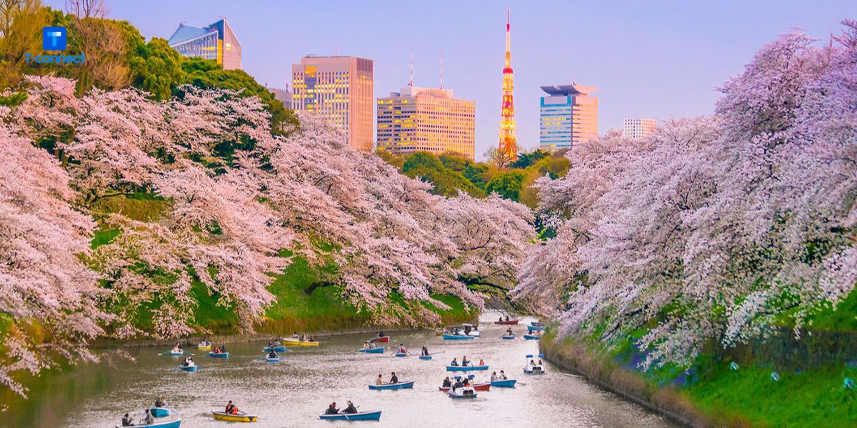 Công viên Ueno - địa điểm ngắm hoa anh đào đẹp nhất Tokyo