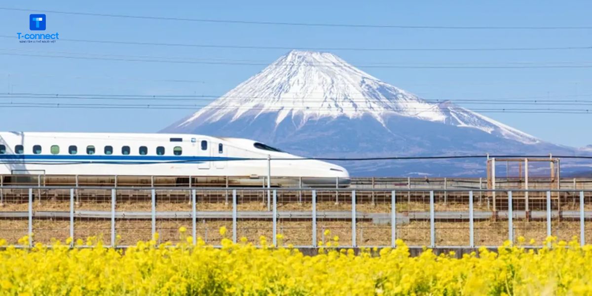 Tàu shinkansen đi qua núi Phú Sĩ trong khung cảnh mùa xuân tuyệt đẹp