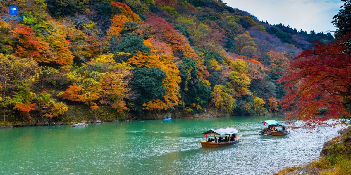 Cảnh đẹp lãng mạn tại Arashiyama ở Kyoto vào mùa lá đỏ.
